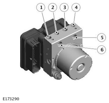 G11308677