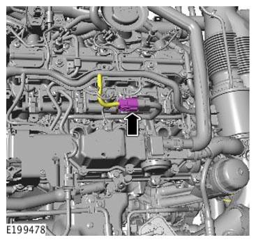 G11308894