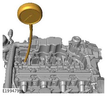 G11308895