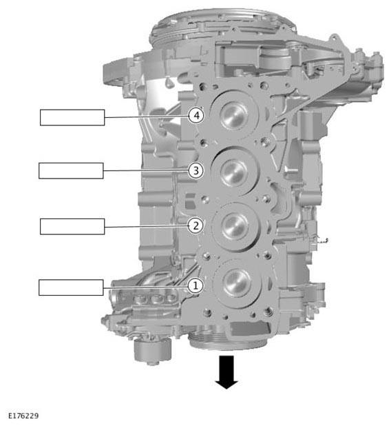 G11308905