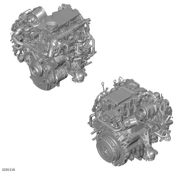 G11308910