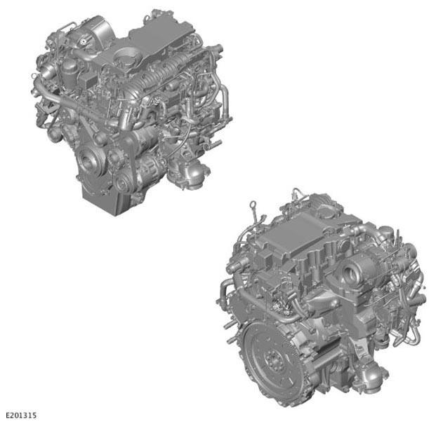 G11308911