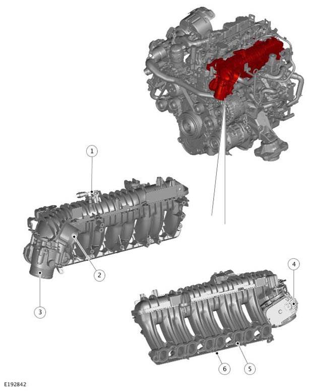 G11308944