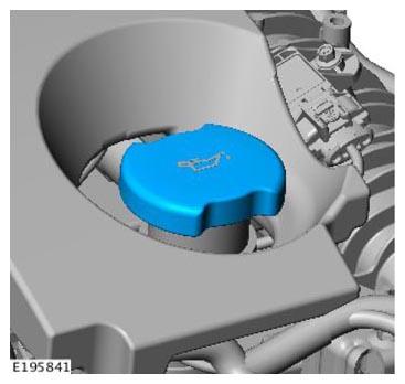 G11308961