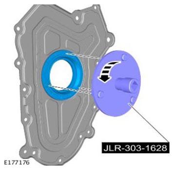 G11308994