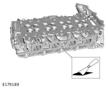 G11309084