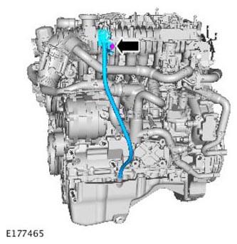 G11309094