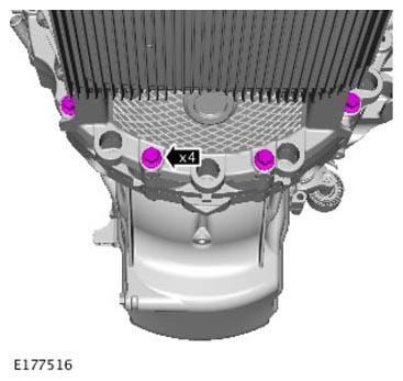 G11309096