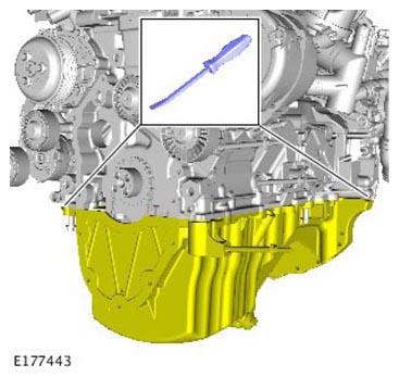G11309100