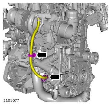 G11309356