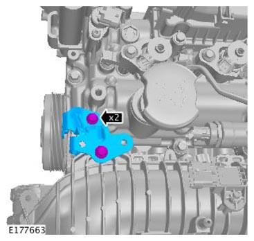 G11309384
