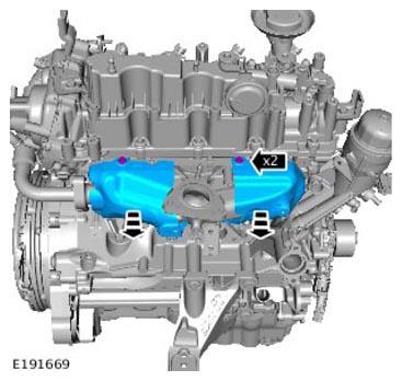 G11309388