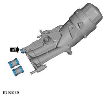 G11309396