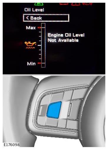 G11309566