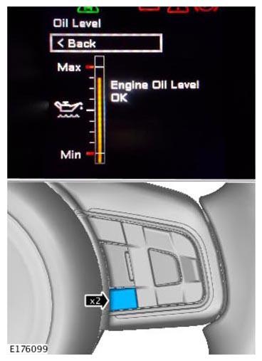 G11309567