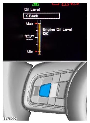 G11309568
