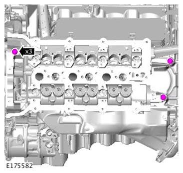 G11309694