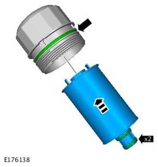 G11309810