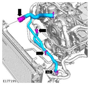 G11310342