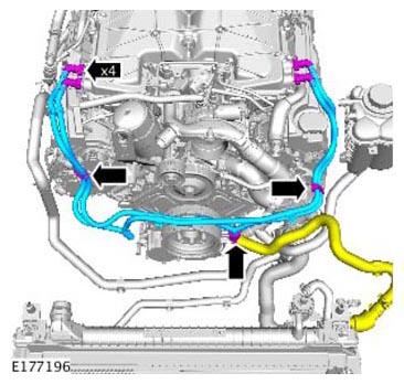 G11310343
