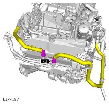 G11310344