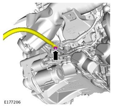 G11310353