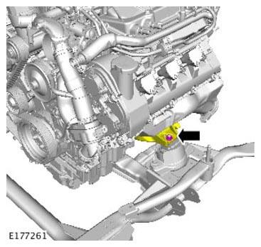 G11310361