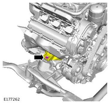 G11310362