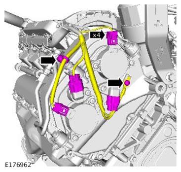 G11310429