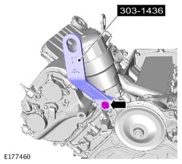 G11310460