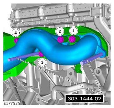 G11310534