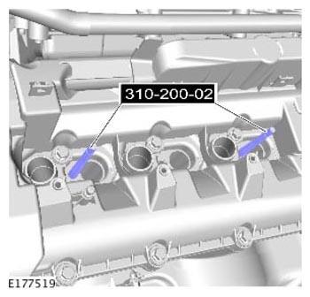 G11310560