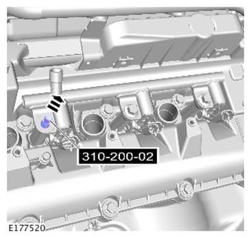 G11310565