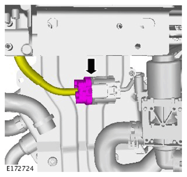 G11310651