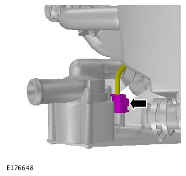 G11310658