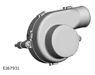 G11310678