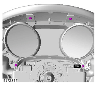 G11310684