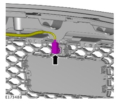 G11310764