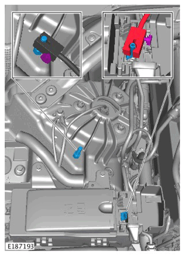 G11310789