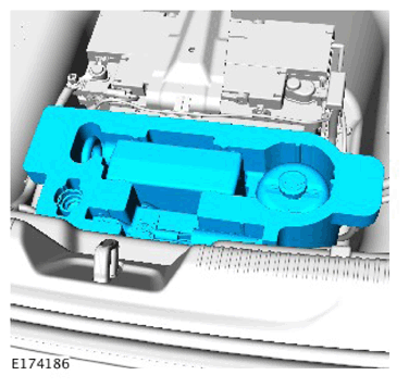 G11310861