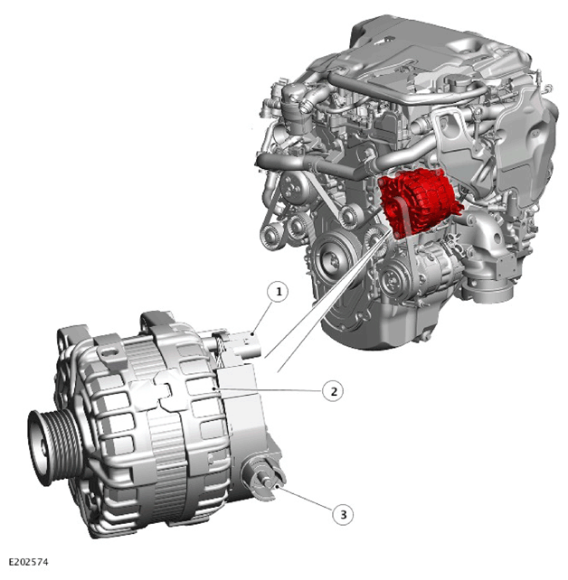 G11310894