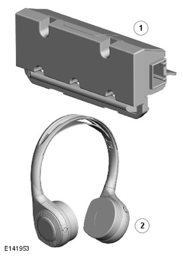 G11311013