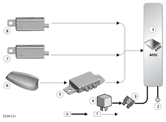 G11311034