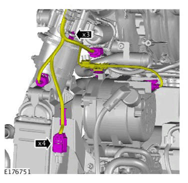 G11311231