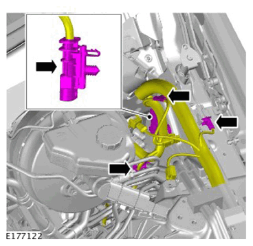 G11311352