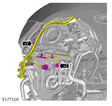 G11311355