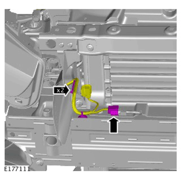 G11311361