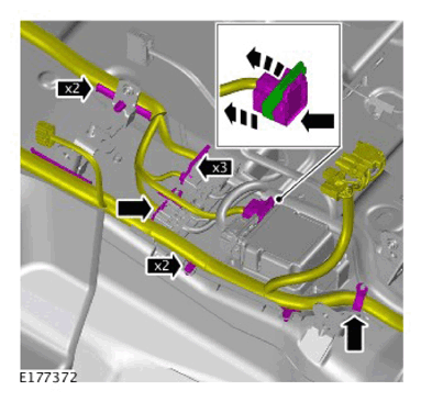 G11311391