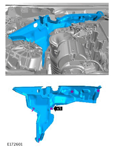 G11311491