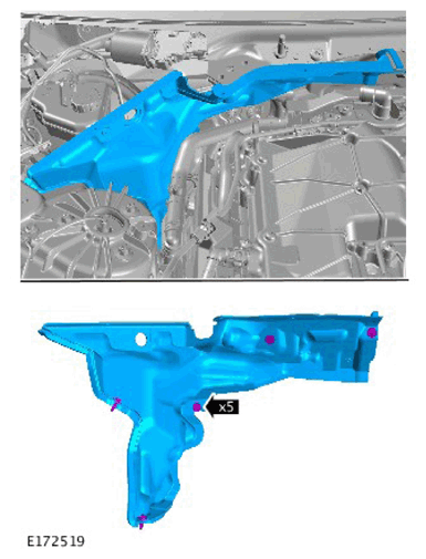 G11311496